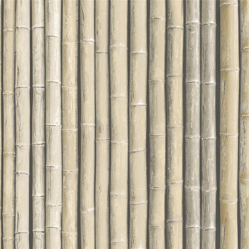 Patton Wallcoverings G67940 Organic Textures Bamboo Wallpaper